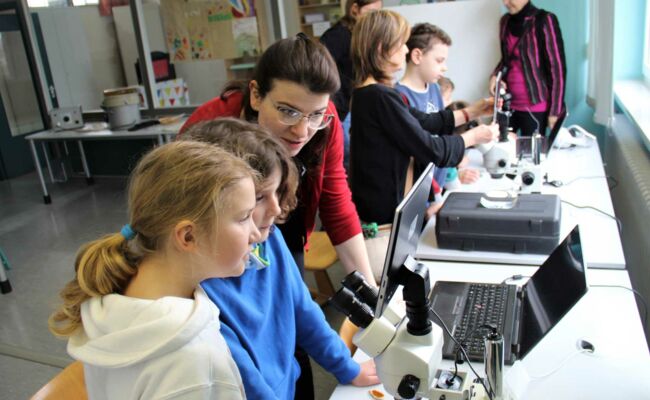 Untersuchen der Kristalle mit dem Mikroskop