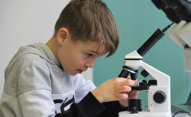 Untersuchen der Kristalle mit dem Mikroskop